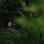 TF_03x02_1689.jpg