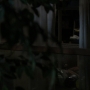 Filename=TF_03x16_2077.jpg
Filesize=81KiB
Dimensions=1920x1080
Date added=Sep 27, 2020 TF_03x16_2077.jpg