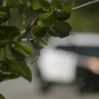 TF_04x10_0433.jpg