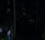 Filename=0799.jpg
Filesize=48KiB
Dimensions=1280x720
Date added=Oct 18, 2021 0799.jpg