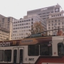 LUX_0516.jpg