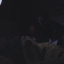 LUX_1129.jpg