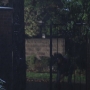 LUX208-0816.jpg