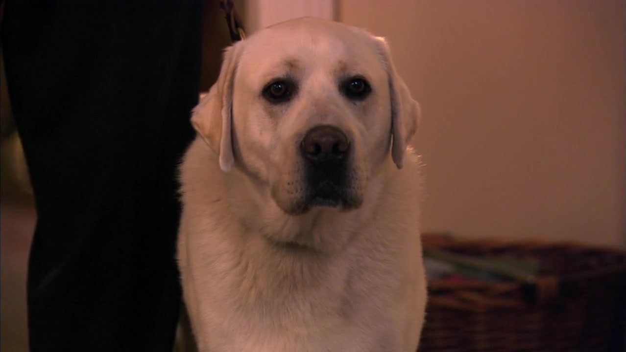 The_Secret_Life_of_the_American_Teenager_S02E10_1214.jpg
