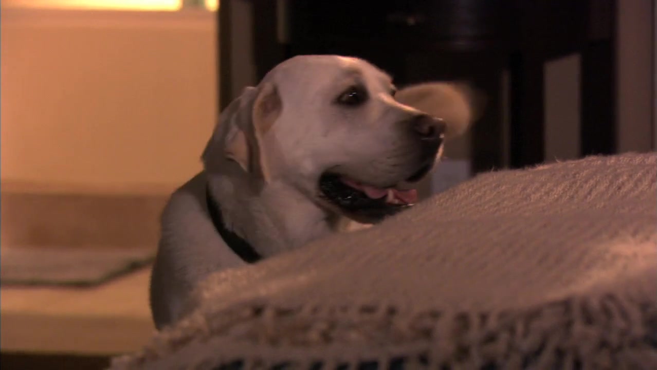 The_Secret_Life_of_the_American_Teenager_S02E10_1260.jpg