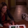 Filename=S05E15_720p_2019.jpg
Filesize=114KiB
Dimensions=1280x720
Date added=Sep 04, 2020 S05E15_720p_2019.jpg