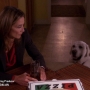 Filename=S05E15_720p_2020.jpg
Filesize=105KiB
Dimensions=1280x720
Date added=Sep 04, 2020 S05E15_720p_2020.jpg