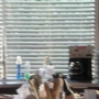 Filename=0034.jpg
Filesize=214KiB
Dimensions=1920x1080
Date added=Oct 22, 2022 0034.jpg